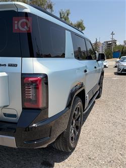دينزا B8